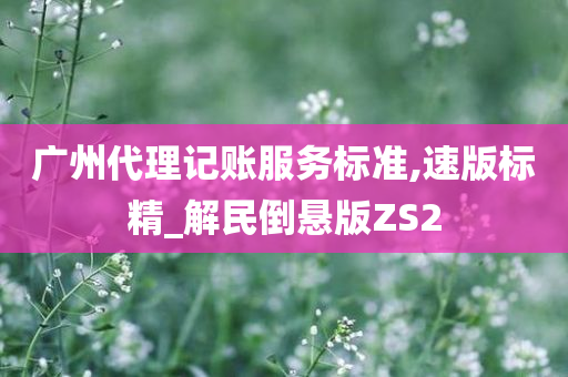 广州代理记账服务标准,速版标精_解民倒悬版ZS2