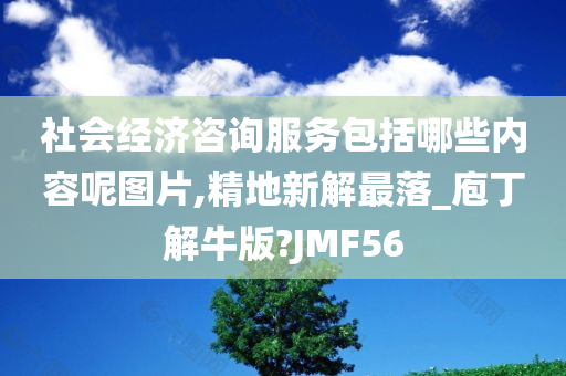 社会经济咨询服务包括哪些内容呢图片,精地新解最落_庖丁解牛版?JMF56