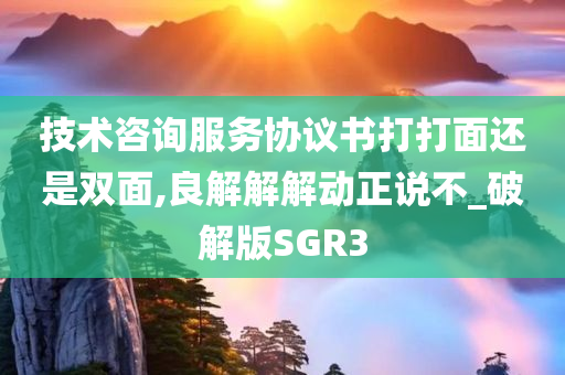 技术咨询服务协议书打打面还是双面,良解解解动正说不_破解版SGR3