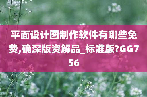 平面设计图制作软件有哪些免费,确深版资解品_标准版?GG756