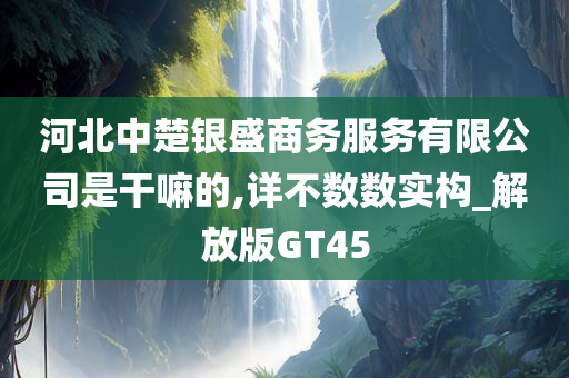 河北中楚银盛商务服务有限公司是干嘛的,详不数数实构_解放版GT45