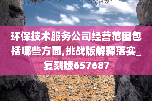 环保技术服务公司经营范围包括哪些方面,挑战版解释落实_复刻版657687