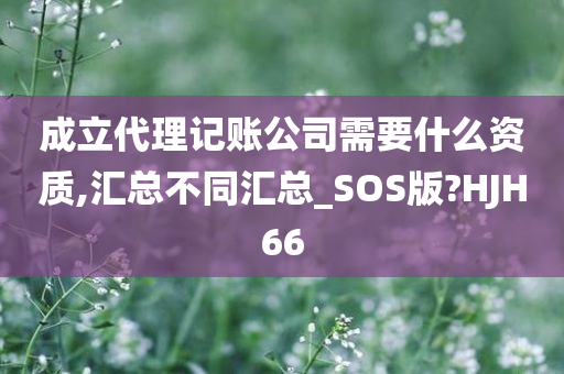 成立代理记账公司需要什么资质,汇总不同汇总_SOS版?HJH66