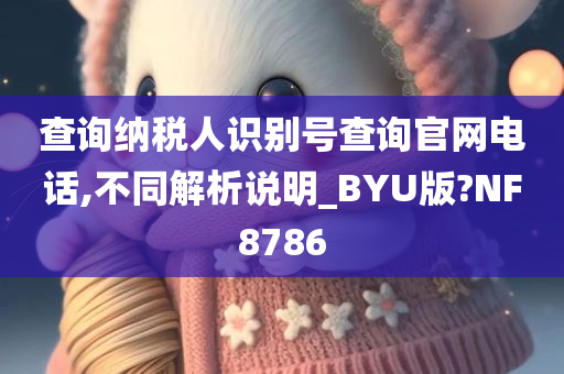 查询纳税人识别号查询官网电话,不同解析说明_BYU版?NF8786