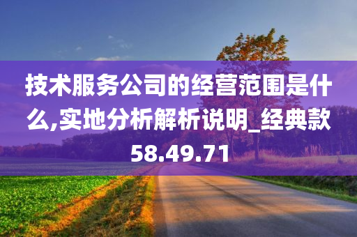 技术服务公司的经营范围是什么,实地分析解析说明_经典款58.49.71