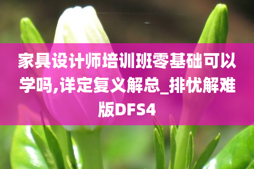 家具设计师培训班零基础可以学吗,详定复义解总_排忧解难版DFS4