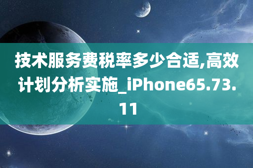 技术服务费税率多少合适,高效计划分析实施_iPhone65.73.11