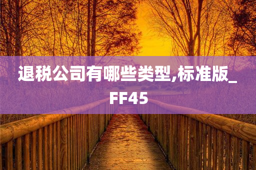 退税公司有哪些类型,标准版_FF45