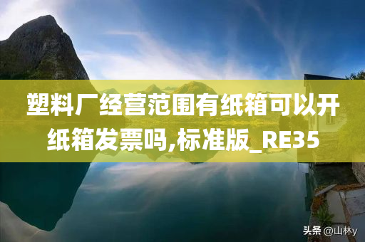 塑料厂经营范围有纸箱可以开纸箱发票吗,标准版_RE35