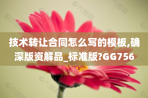 技术转让合同怎么写的模板,确深版资解品_标准版?GG756