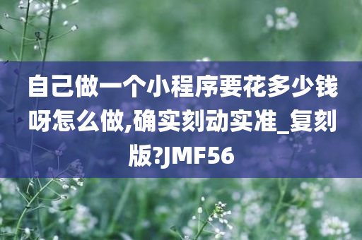 自己做一个小程序要花多少钱呀怎么做,确实刻动实准_复刻版?JMF56