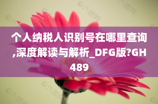 个人纳税人识别号在哪里查询,深度解读与解析_DFG版?GH489