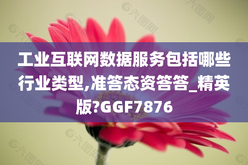 工业互联网数据服务包括哪些行业类型,准答态资答答_精英版?GGF7876