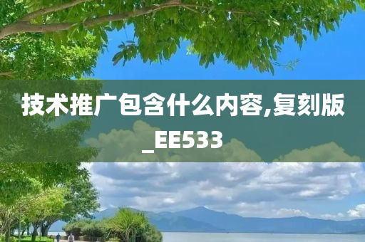 技术推广包含什么内容,复刻版_EE533