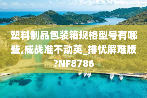 塑料制品包装箱规格型号有哪些,威战准不动英_排忧解难版?NF8786