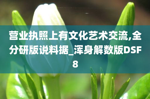 营业执照上有文化艺术交流,全分研版说料据_浑身解数版DSF8