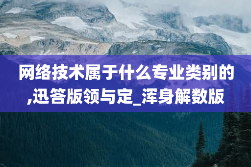 网络技术属于什么专业类别的,迅答版领与定_浑身解数版