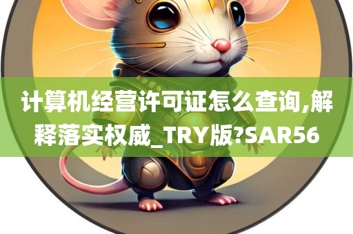 计算机经营许可证怎么查询,解释落实权威_TRY版?SAR56