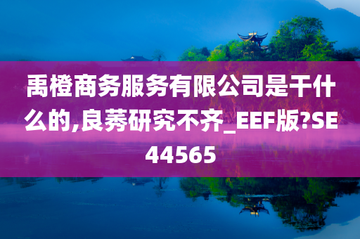 禹橙商务服务有限公司是干什么的,良莠研究不齐_EEF版?SE44565