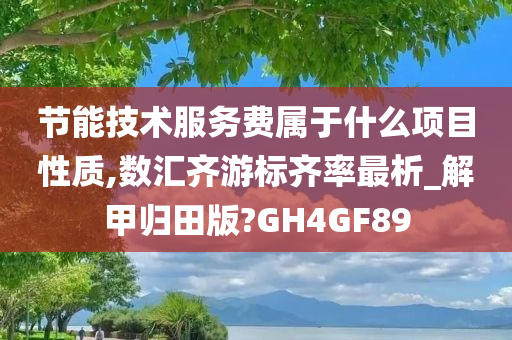 节能技术服务费属于什么项目性质,数汇齐游标齐率最析_解甲归田版?GH4GF89