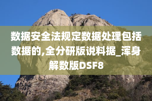 数据安全法规定数据处理包括数据的,全分研版说料据_浑身解数版DSF8