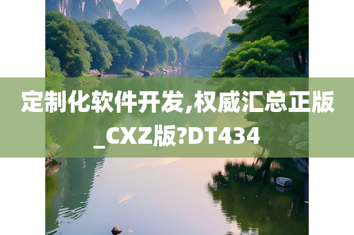 定制化软件开发,权威汇总正版_CXZ版?DT434