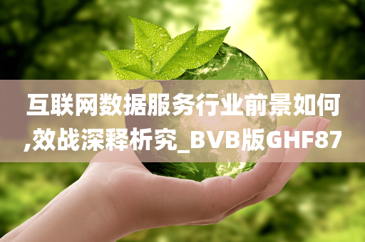 互联网数据服务行业前景如何,效战深释析究_BVB版GHF87