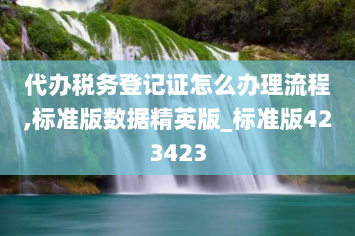 代办税务登记证怎么办理流程,标准版数据精英版_标准版423423