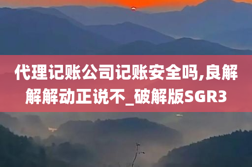 代理记账公司记账安全吗,良解解解动正说不_破解版SGR3