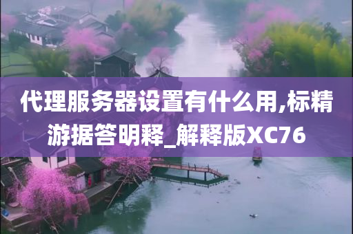 代理服务器设置有什么用,标精游据答明释_解释版XC76