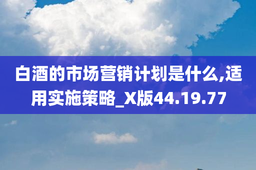 白酒的市场营销计划是什么,适用实施策略_X版44.19.77