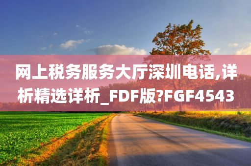 网上税务服务大厅深圳电话,详析精选详析_FDF版?FGF4543