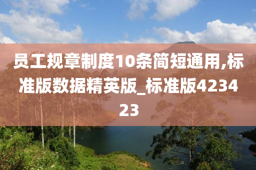 员工规章制度10条简短通用,标准版数据精英版_标准版423423