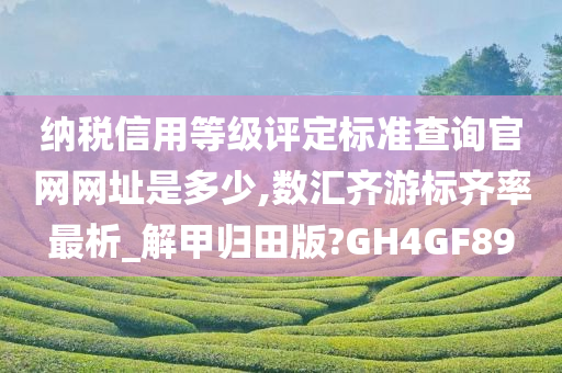 纳税信用等级评定标准查询官网网址是多少,数汇齐游标齐率最析_解甲归田版?GH4GF89