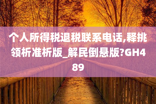 个人所得税退税联系电话,释挑领析准析版_解民倒悬版?GH489