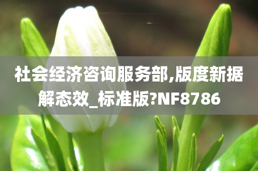 社会经济咨询服务部,版度新据解态效_标准版?NF8786