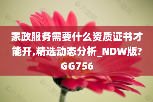 家政服务需要什么资质证书才能开,精选动态分析_NDW版?GG756