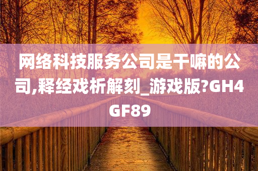 网络科技服务公司是干嘛的公司,释经戏析解刻_游戏版?GH4GF89