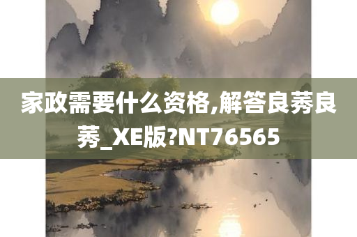 家政需要什么资格,解答良莠良莠_XE版?NT76565