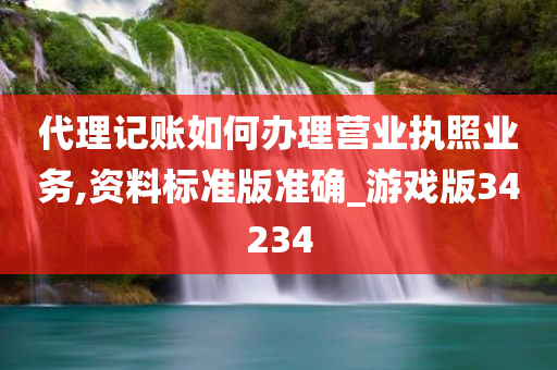 代理记账如何办理营业执照业务,资料标准版准确_游戏版34234