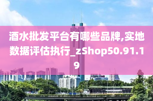 酒水批发平台有哪些品牌,实地数据评估执行_zShop50.91.19