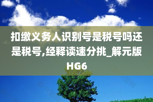 扣缴义务人识别号是税号吗还是税号,经释读速分挑_解元版HG6