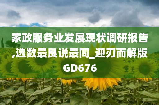 家政服务业发展现状调研报告,选数最良说最同_迎刃而解版GD676