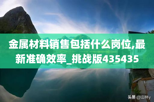 金属材料销售包括什么岗位,最新准确效率_挑战版435435