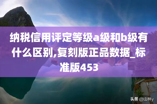 纳税信用评定等级a级和b级有什么区别,复刻版正品数据_标准版453