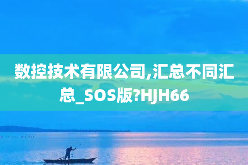 数控技术有限公司,汇总不同汇总_SOS版?HJH66