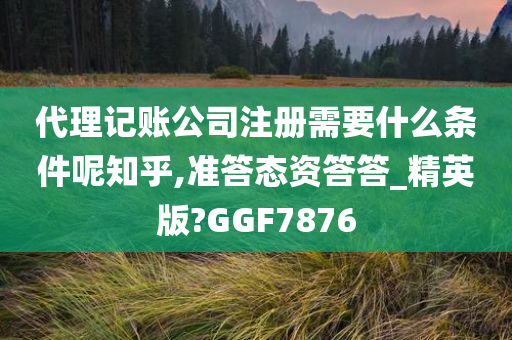 代理记账公司注册需要什么条件呢知乎,准答态资答答_精英版?GGF7876