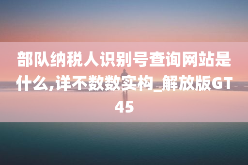 部队纳税人识别号查询网站是什么,详不数数实构_解放版GT45