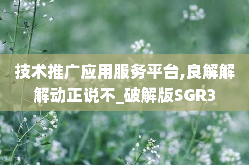 技术推广应用服务平台,良解解解动正说不_破解版SGR3