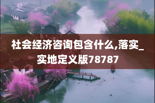 社会经济咨询包含什么,落实_实地定义版78787